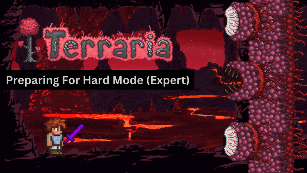 #Terraria Live Stream: Not much happened&nbsp;today