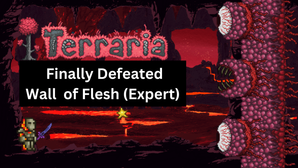 #Terraria Gameplay Highlights: Defeated Wall of Flesh (Expert) finally w/Legendary Nights&nbsp;Edge